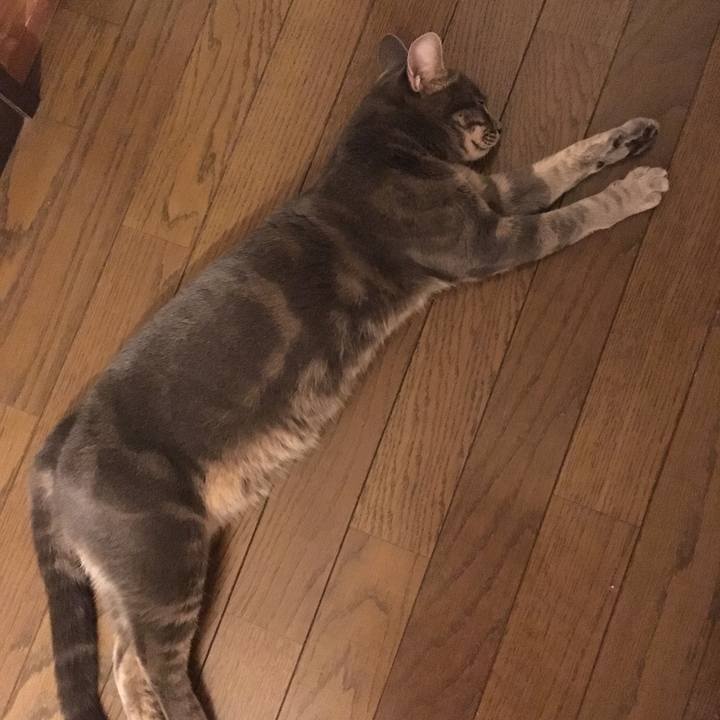 6f0acfd5 7bcf 4528 b553 0772f7973993