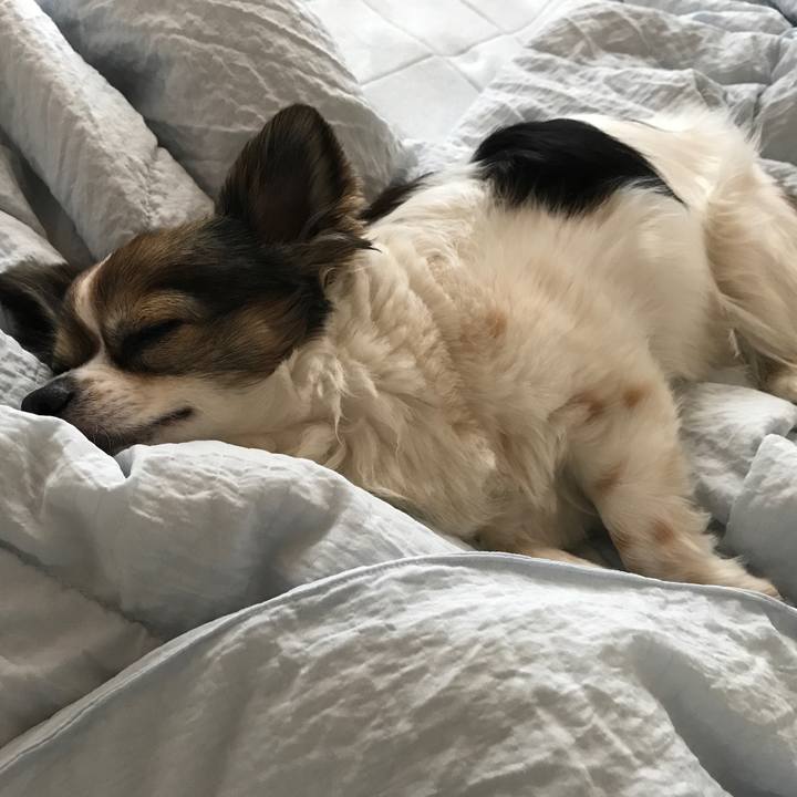 6f0b7317 d1ae 40e4 b39f 850d574f2def