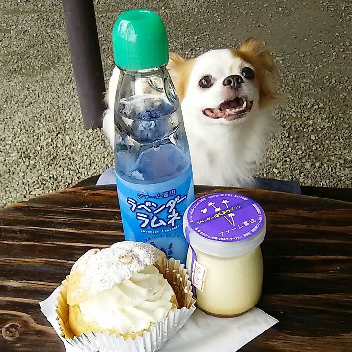 6f0b868e 7d39 4e97 ae2f f15f8a479ec2