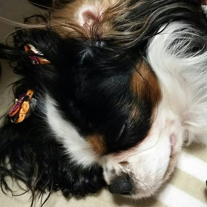 6f0c6b47 df8b 4bbe 9ff3 2030c55cab04