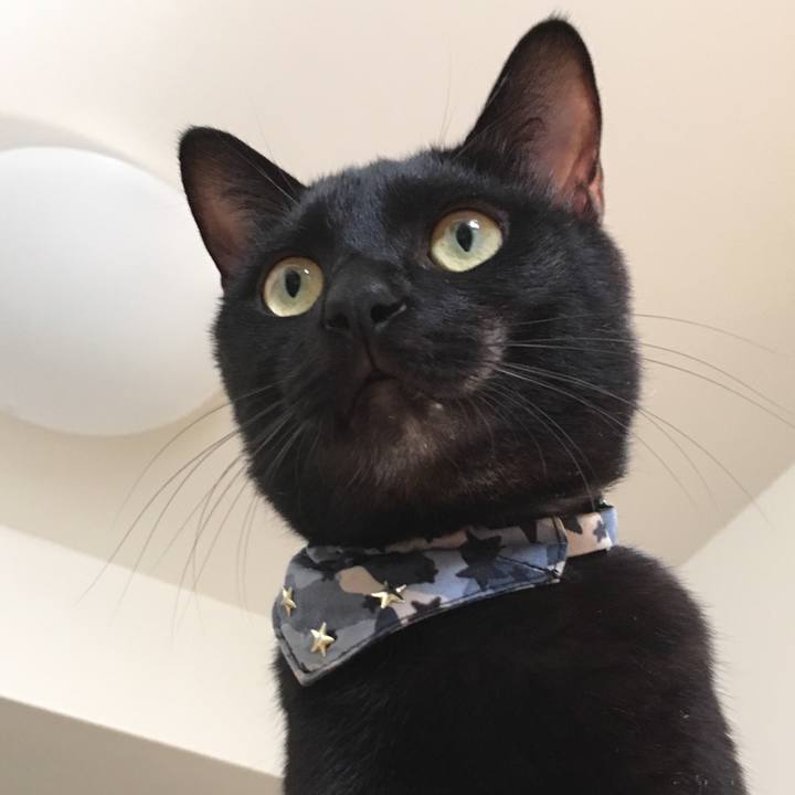 6f0c9fb4 906f 4910 bafb 5fff9d7ac33c