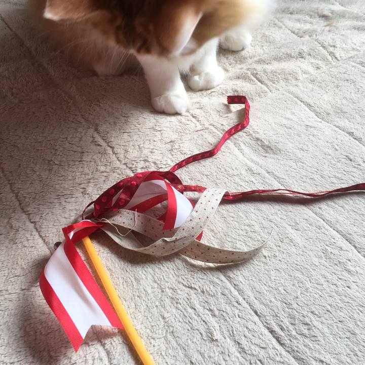 6f0d0a71 a8af 42e7 8063 6938ddfddccc