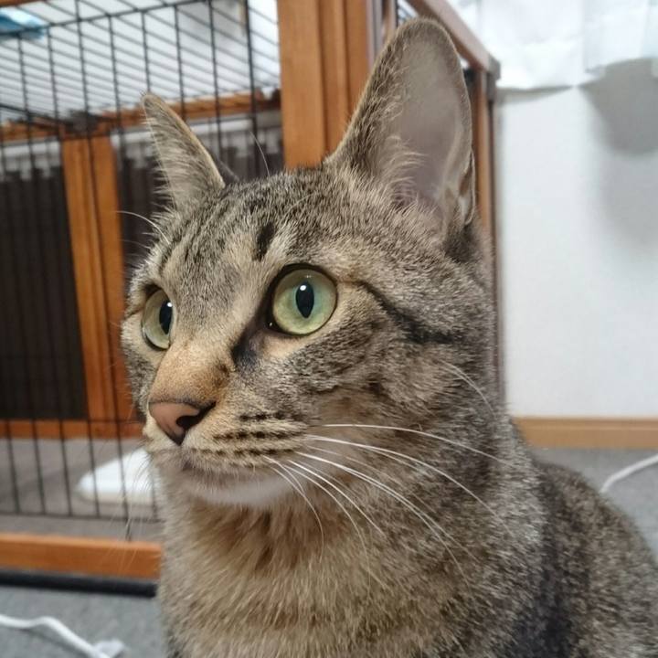 6f0d2873 e5e9 43b7 bbe1 df309adb0daa