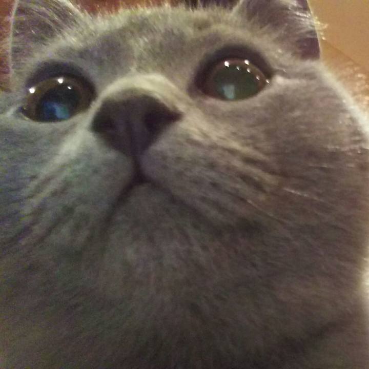 6f0deb7b a837 4f56 ab9b 1008277b2516