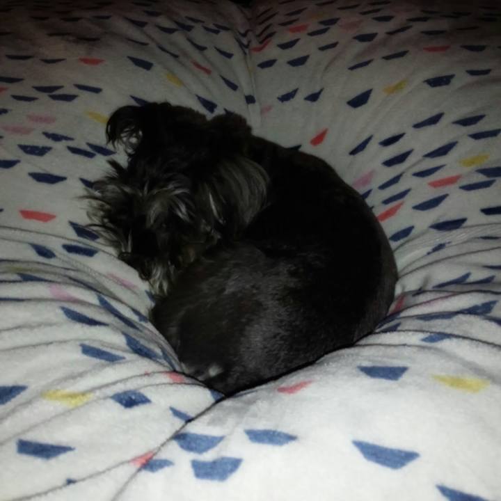 6f0f71ba 2142 4f9e a6e4 3a718da674ac