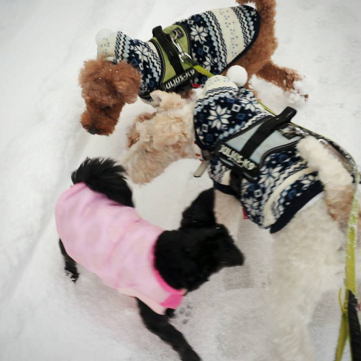 6f0fa653 2822 436c 8777 63bb1c125ddf