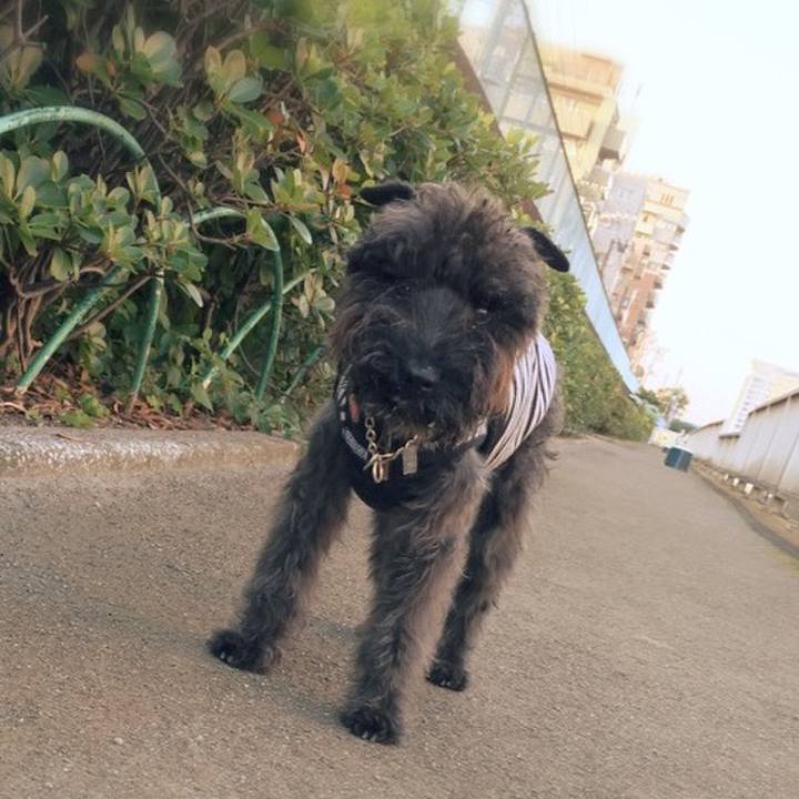 6f100df9 4ce0 4d62 b94b c97250b44136