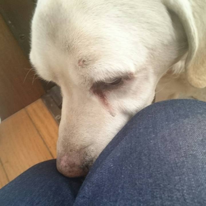 6f109801 68f7 42cf 86ad 1b6e76287c5f