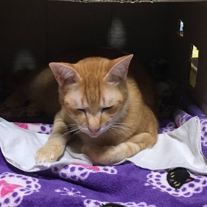 6f10b738 1cc2 4c24 8c46 e10e5f7cf3d8