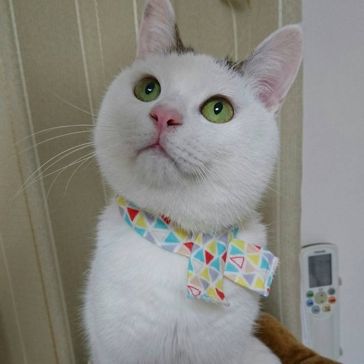 6f110559 ea56 4871 abcc 1e2087f5f6b4