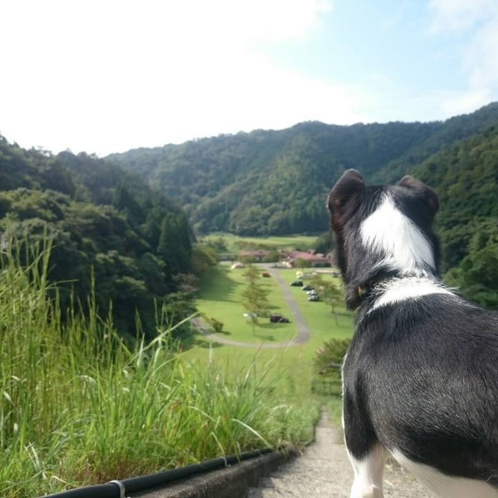 6f1114b2 22b5 4824 bcd1 de43cb5fd2ed