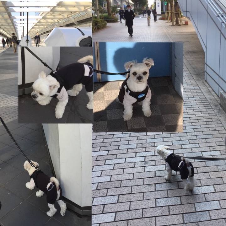 6f118fc6 6356 4734 a6a6 0b20a8ba884c