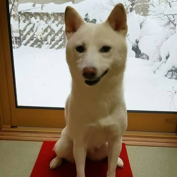 6f11a09e 8e0e 438b b1a5 d0fd40d0fcde