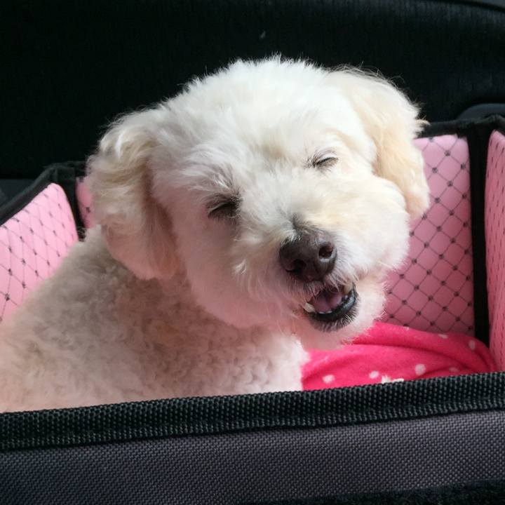 6f11a70e c401 4fe4 ba35 9d2c6adcd32c