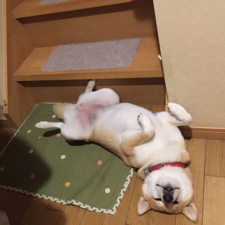 6f12341a 34bf 478a 902d 24d24e49ae6a