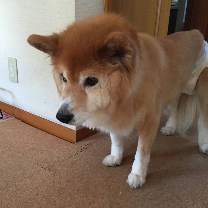 6f125016 afe4 40c6 aef8 90f6be9b55ef