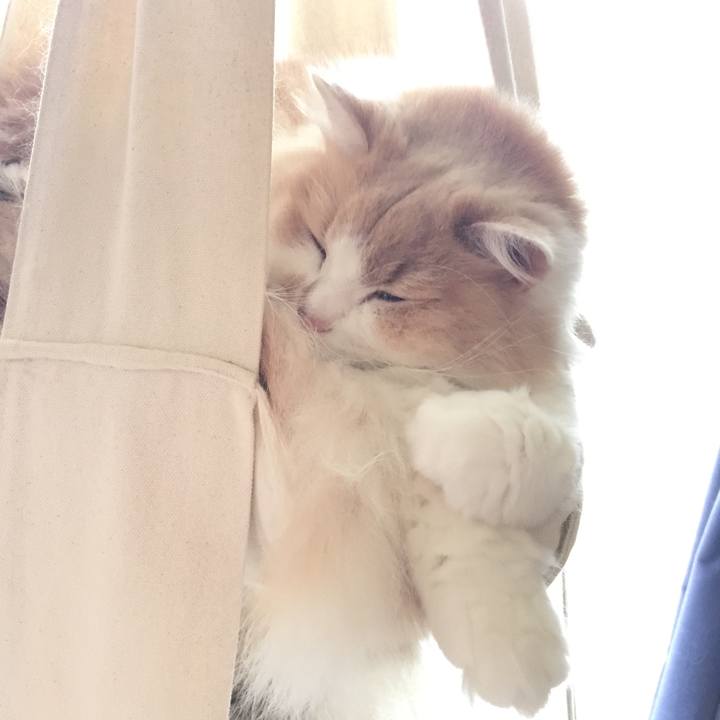 6f1287df d1a9 42d3 ab92 8d85177914e2