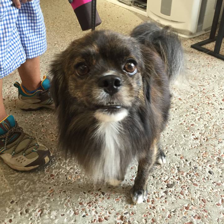 6f12f839 e6e8 4399 aa2e 48326e70d7dd