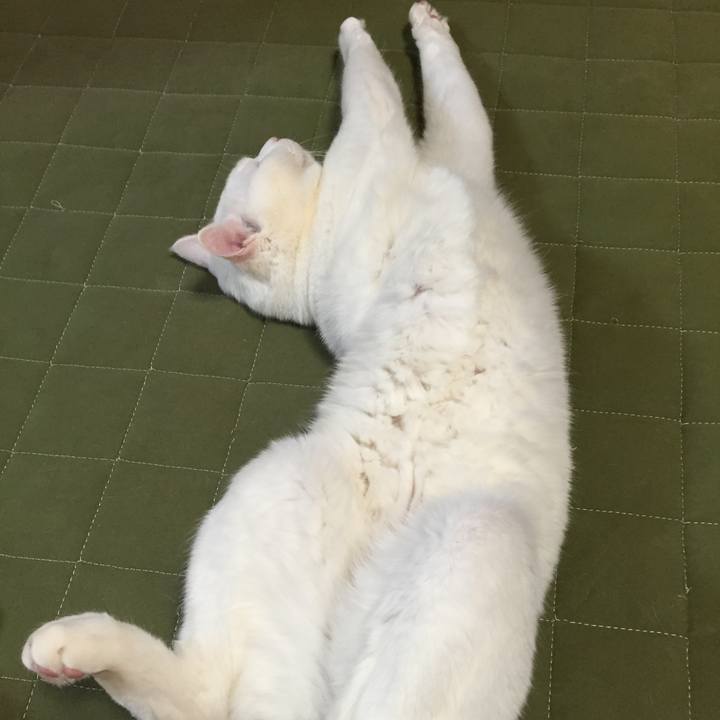 6f131422 d0d7 40c6 ade5 e59778c11644