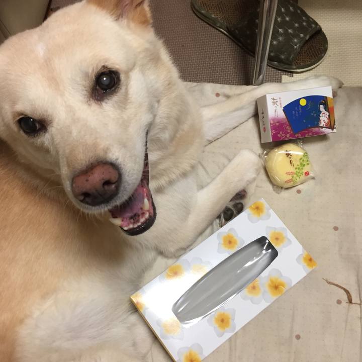 6f14eecb 3bcc 4422 b232 640381ab3bc1