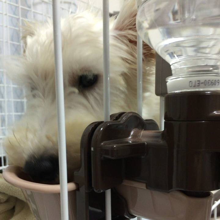 6f154a2a 1c7a 4e75 b5d2 97eea716b80b