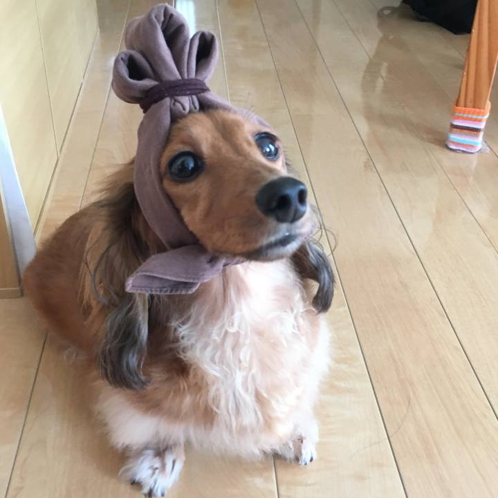 6f1571c4 1027 4596 b2f1 e8ebe0e560eb