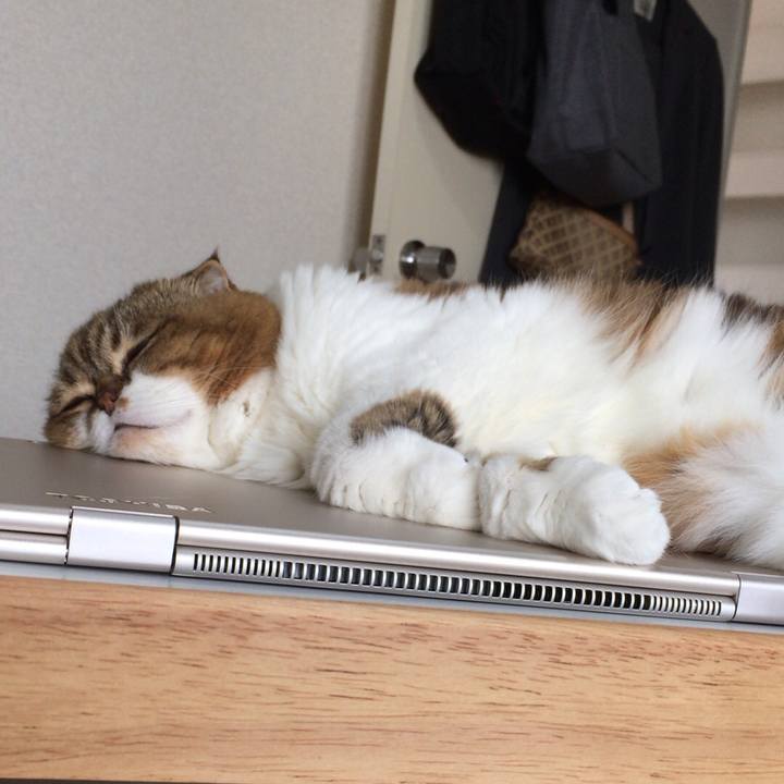 6f15ff9b e87d 4b38 af49 0139979d1600