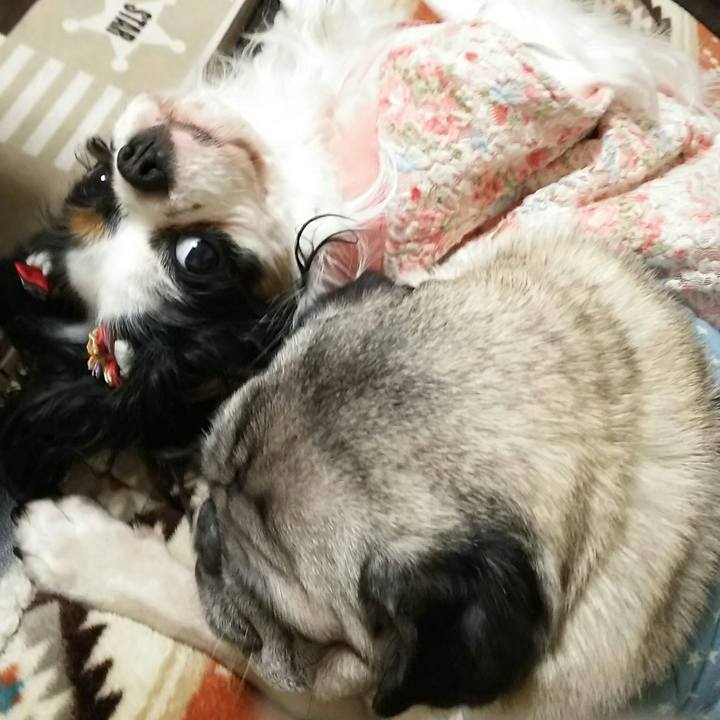 6f16106f 9f2f 4d44 851d 92daa23223c2