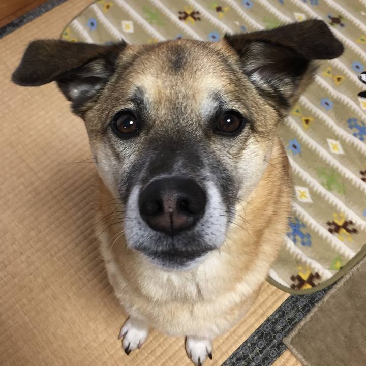 6f161d3e 4aa4 42dc abdf 158e0b258fe8