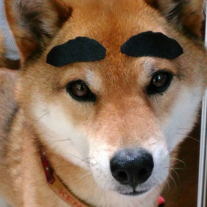 6f162a9e cc00 40db a9c0 dc5f4c7a17d0