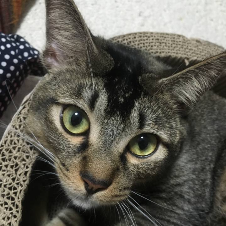 6f16713a 0722 4687 83ab a15822229799