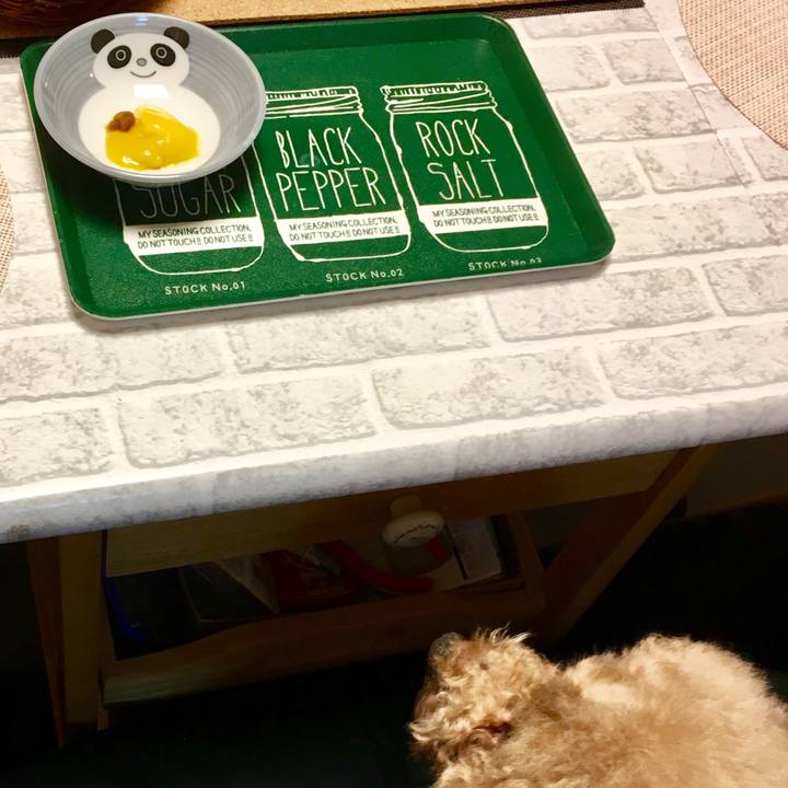 6f16f987 8bfd 441b b065 fcec024cd82c