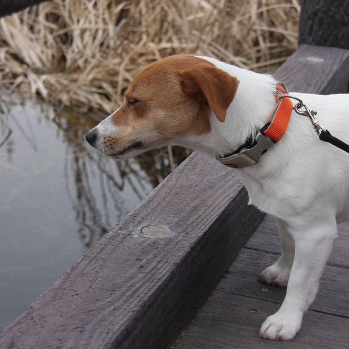 6f171300 a5b5 47d4 b593 ecfd1f5b873c