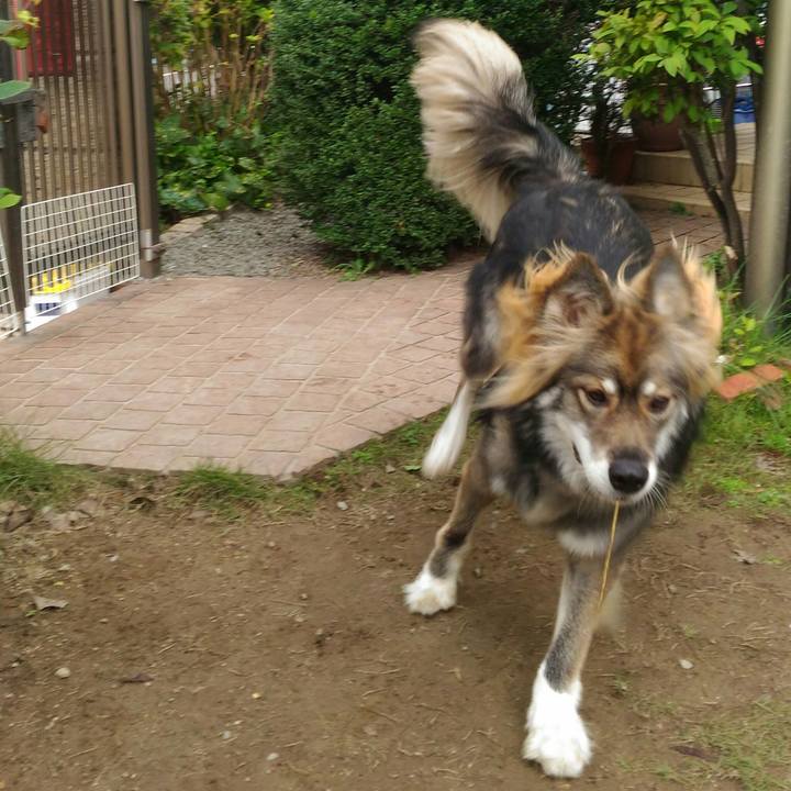 6f17cf8e 9adf 4007 b5c4 103cb8ccd06e