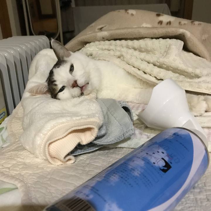 6f17deb0 ab9e 4d76 b706 d9bd22fa60f3