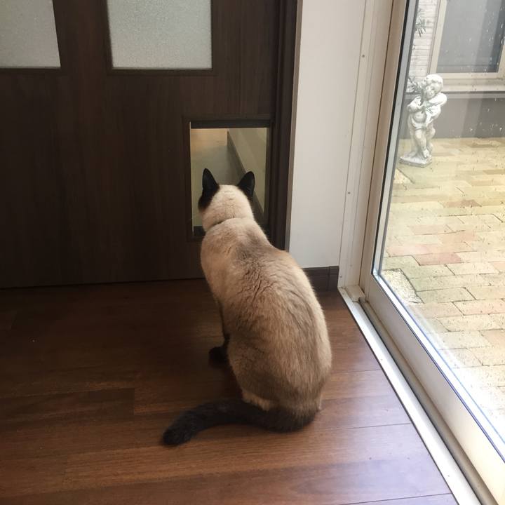 6f17f86d dc04 4ba1 9617 40578a5face2