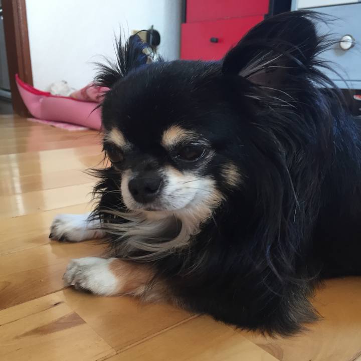 6f18c234 d6da 4d4f 9bc8 9b537a9c2e7c