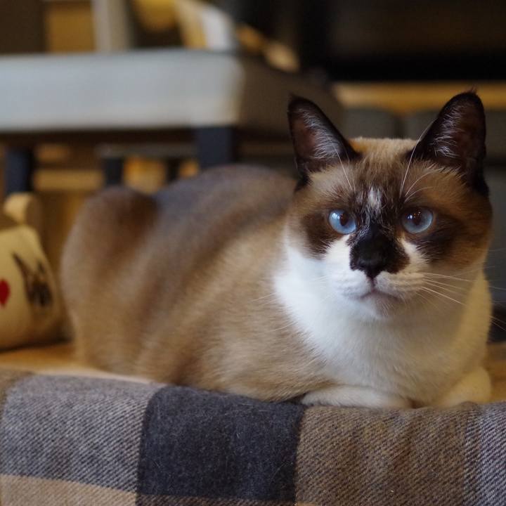 6f190977 f882 4de6 9bfc 6d1dd78a1c48