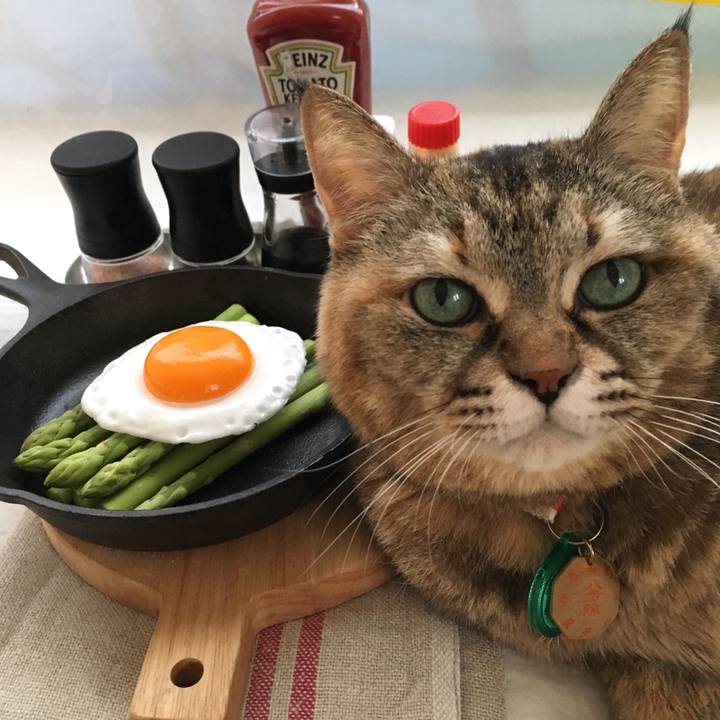 6f1982da 52ff 4b06 b000 7b4185579fa6