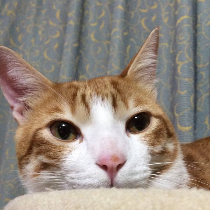 6f19d56c 773b 4e91 af40 4408ce72df55