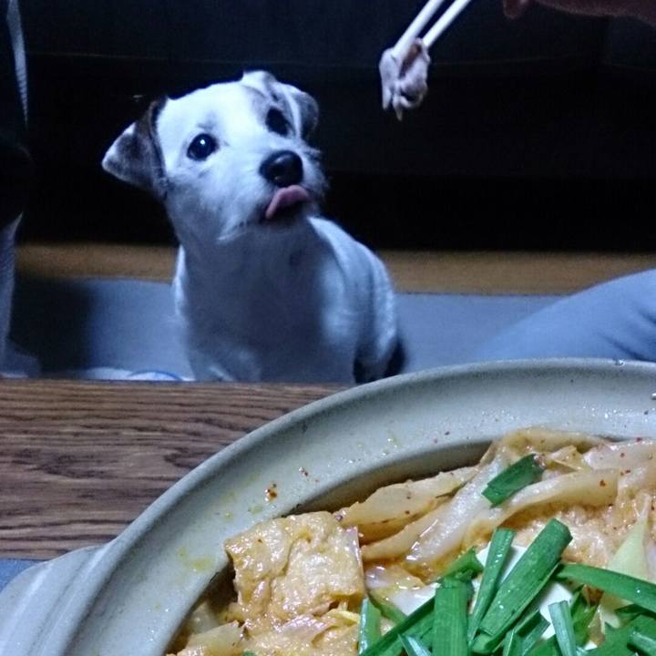 6f19dcd4 5565 412f 9453 8c9b58f44868