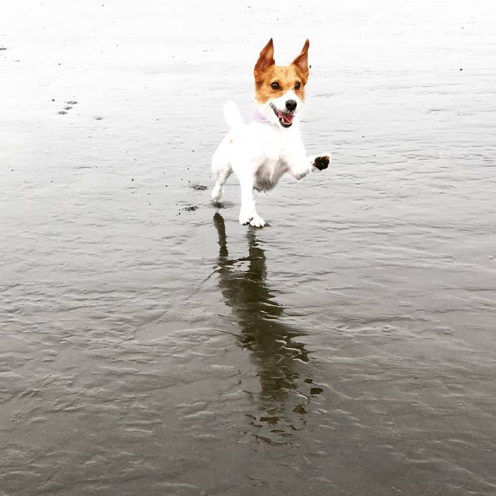 6f19e6e0 ceea 425c 9995 c5d3243aa0a1