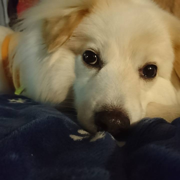 6f1c054d 1bf9 4e0f 9b5c 5f7a4c8a787b