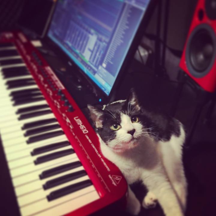 6f1c5ee7 7b2f 4d71 9fee fdd53c353c8a