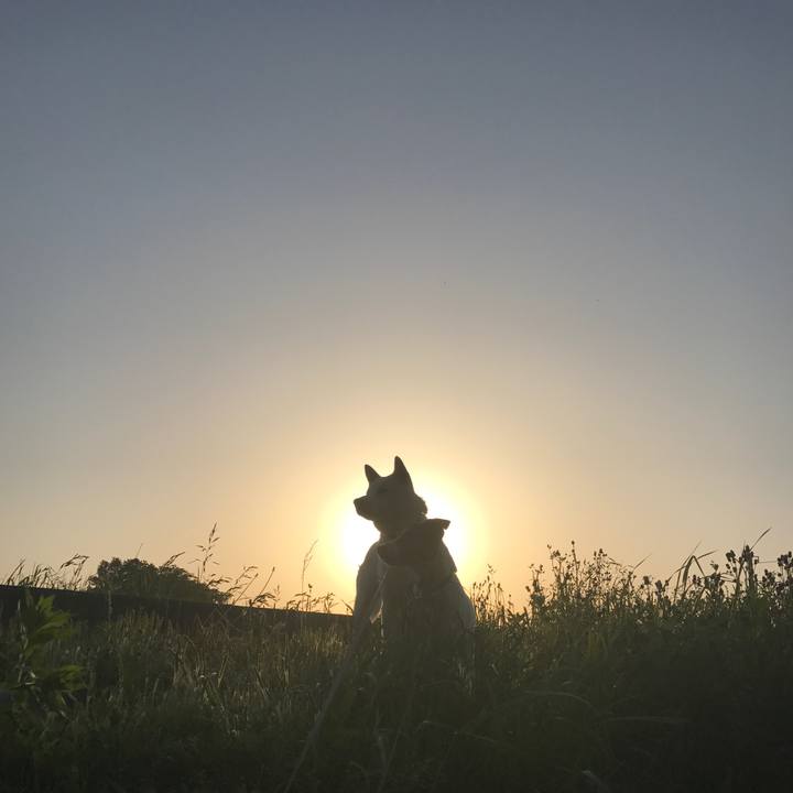 6f1c6d02 f1a8 400d 91e2 52b782d4ca71