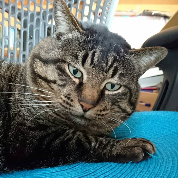 6f1c73cf cf8f 46ed b939 f59f1ab891ee