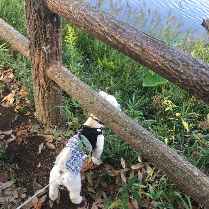 6f1c9308 c14e 42f4 acf7 5b2a1cb5ac29