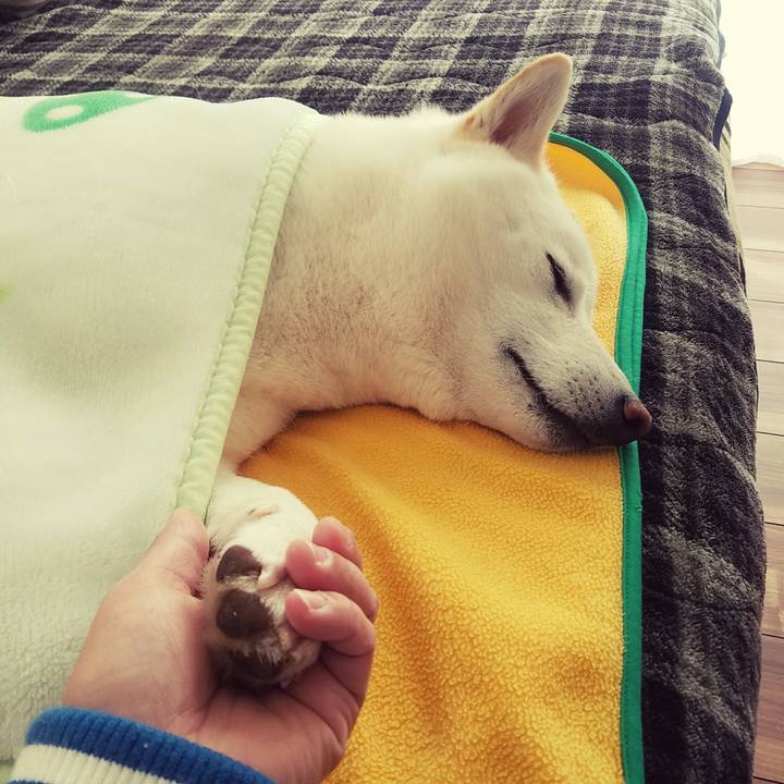 6f1cddb0 0f70 4d5e a484 d367281c83f3