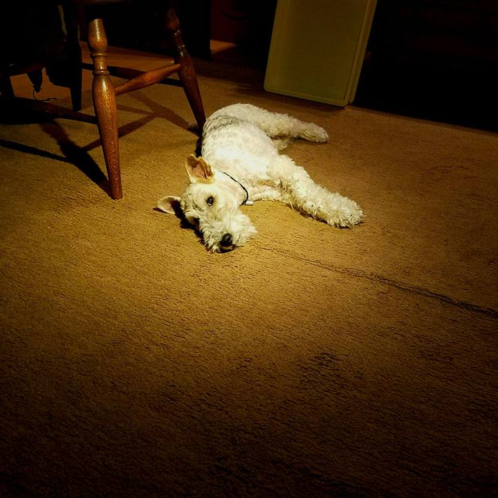 6f1d1cb1 3d76 4ae1 b9ba a619a9902ddb