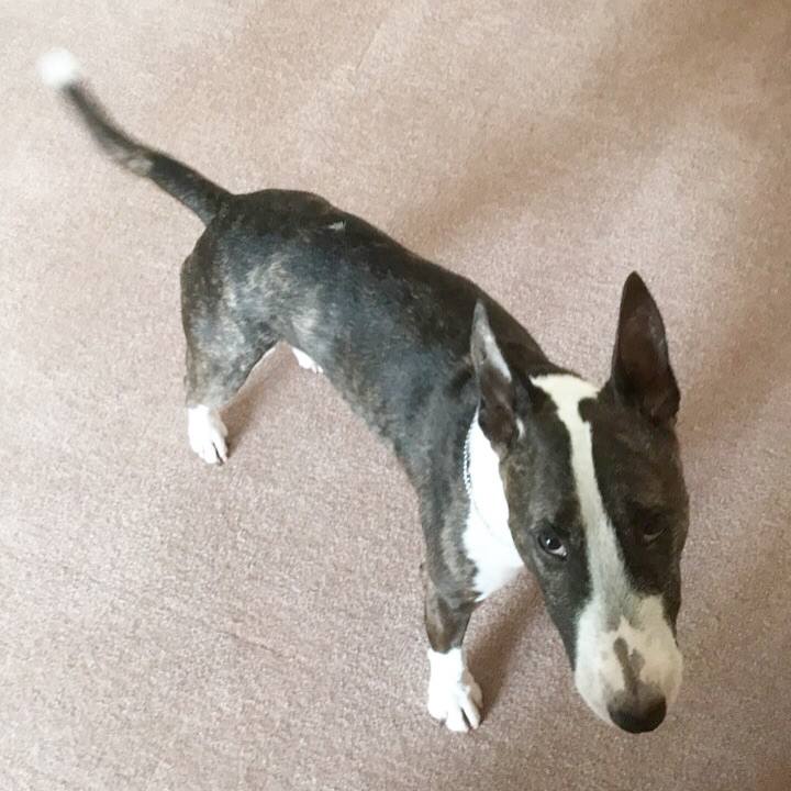 6f1d9cc3 2f81 4c2f a5b3 d6cf2b6c33a0